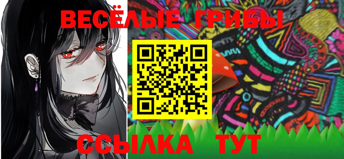 Галлюциногенные грибы Cubensis  закладки  Россия  Вход с VPN 