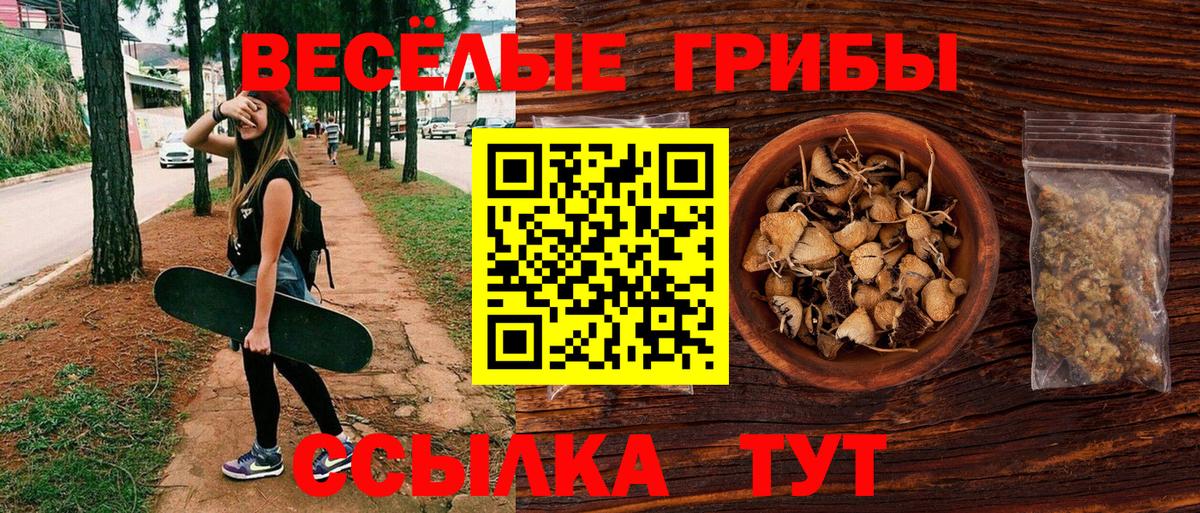 Галлюциногенные грибы Magic Shrooms Россия